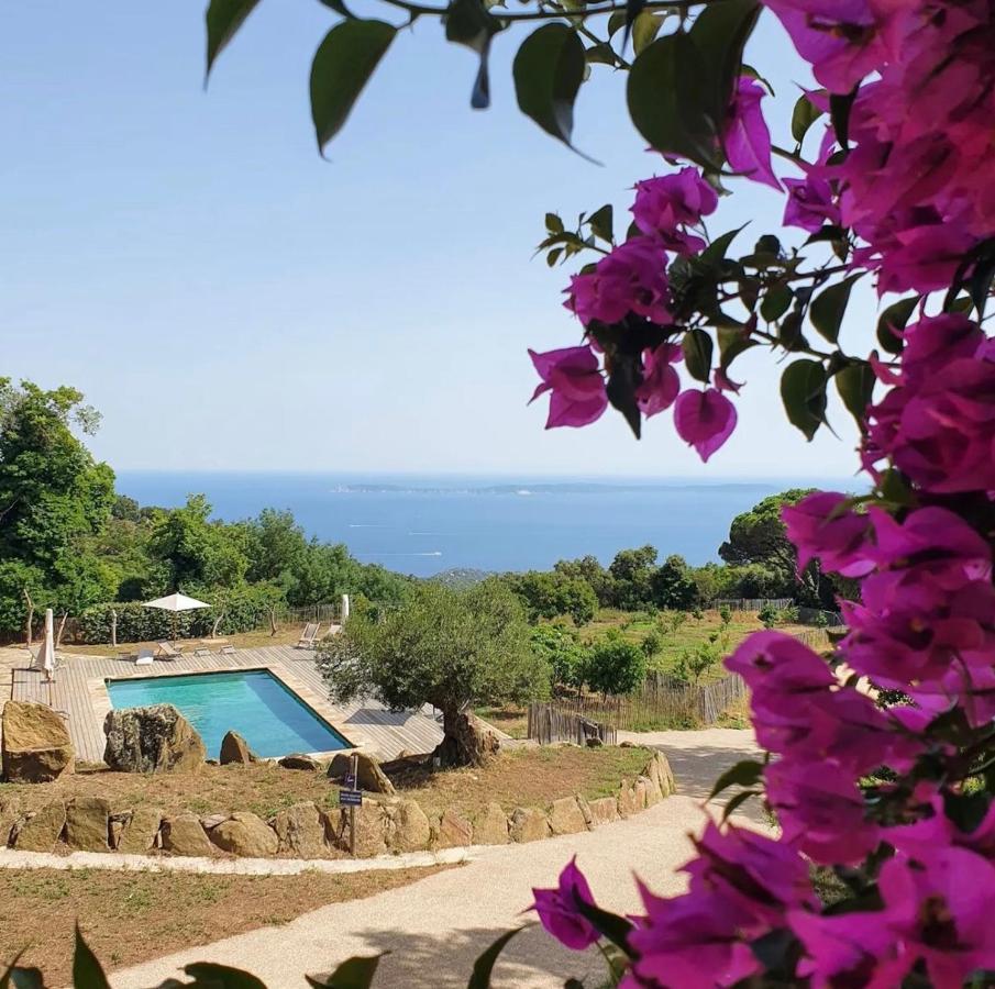 Villa Relais Du Vieux Sauvaire Le Lavandou Exterior foto