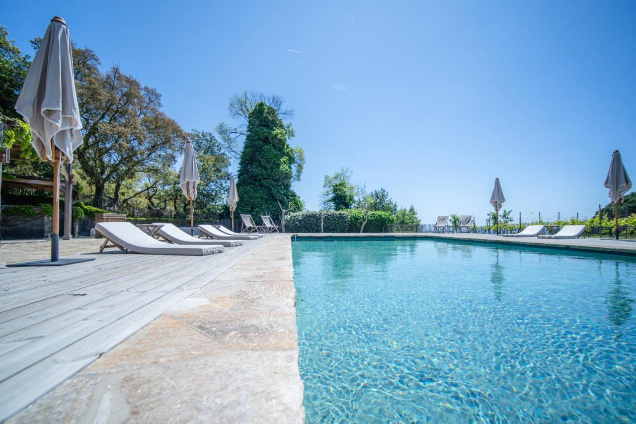 Villa Relais Du Vieux Sauvaire Le Lavandou Exterior foto